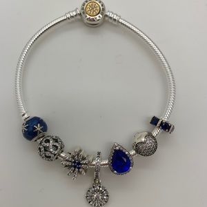 WINTER PANDORA BRACELET/ CHARMS